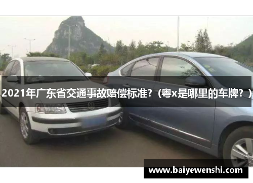 2021年广东省交通事故赔偿标准？(粤x是哪里的车牌？)