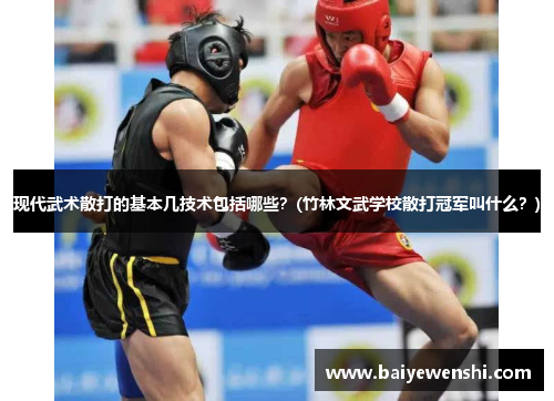 现代武术散打的基本几技术包括哪些？(竹林文武学校散打冠军叫什么？)